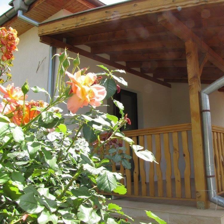 Guest House Vergie Sapareva Banya Bagian luar foto